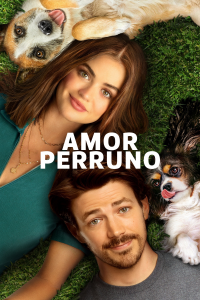 Amor perruno