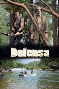 Defensa