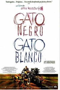 Gato negro, gato blanco