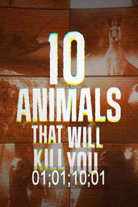 10 Animals That Can Kill You