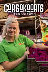 Corsokoorts in Sint Jansklooster