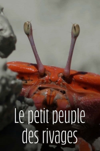 Le Petit Peuple des rivages