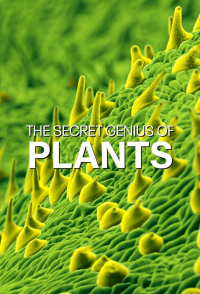 The Secret Genius of Plants