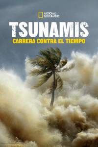 Tsunami: Carrera contra el tiempo